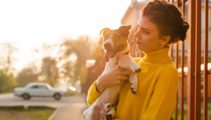 Melhore sua qualidade de vida com Bichinhos de Estimação ─ Adote um!
