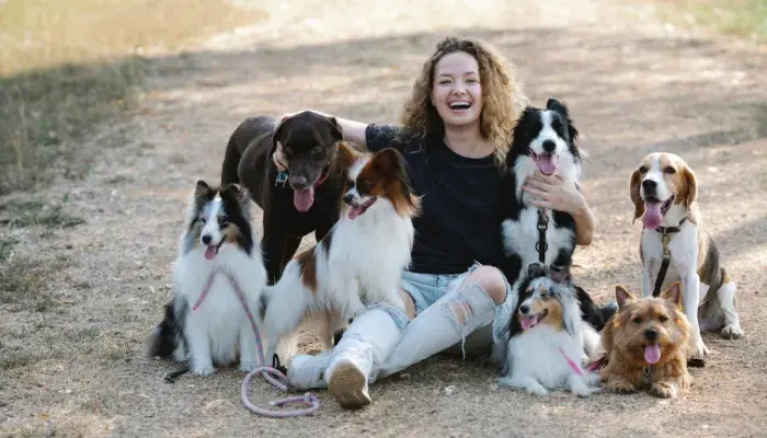 Dicas De Preparação Para Receber Um Novo Animal De Estimação Em Casa