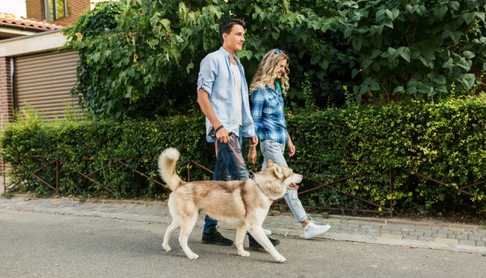 Adoção vs compra: Qual a melhor opção para ter um animal de estimação? Imagem de marymarkevich no Freepik