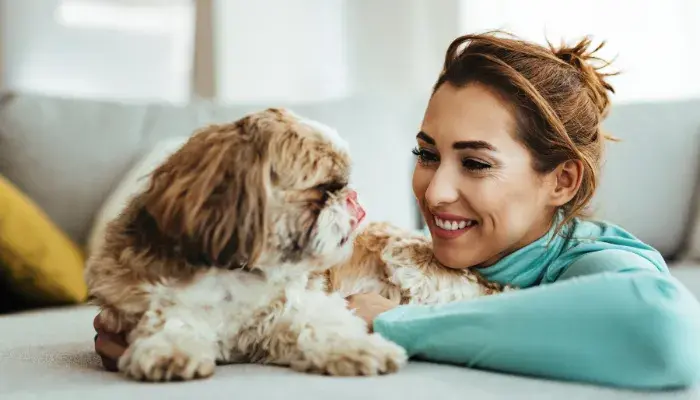 Cachorros em apartamento: as raças que amam a vida urbana!