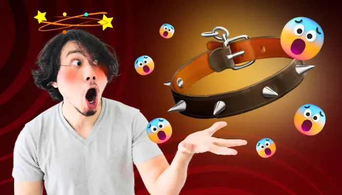 Amar é saber cuidar: como compreender as necessidades do seu pet e oferecer os melhores cuidados