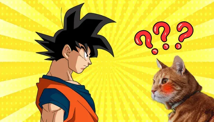 Nomes Divertidos Para Gatos: Como Encontrar A Melhor Opção?