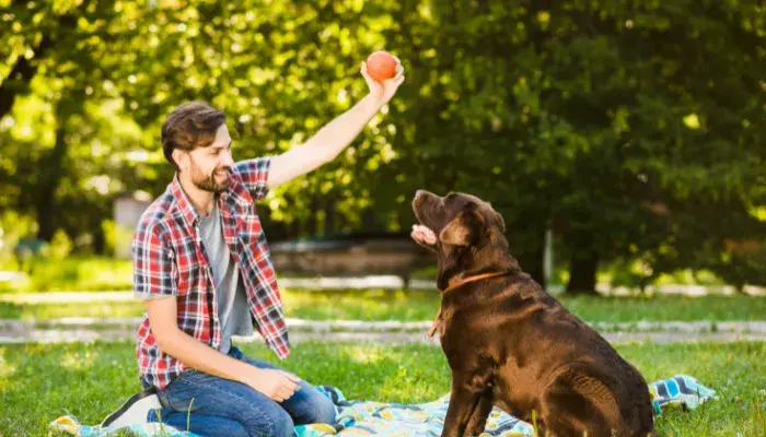 O Laço Inquebrável entre o Homem e seu Cão amigo