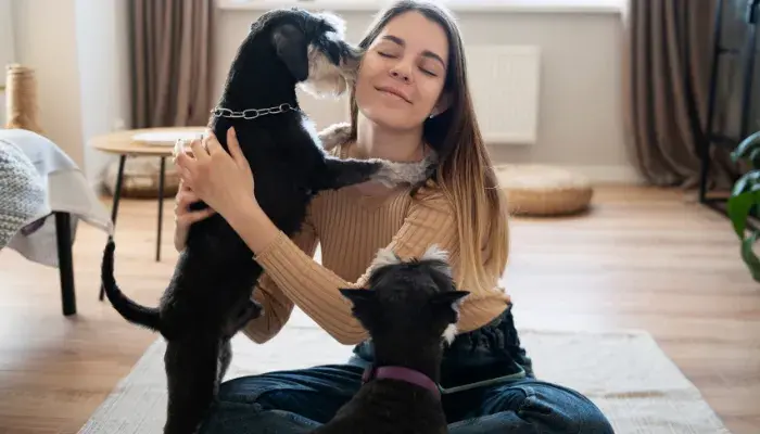 renda extra com fofura profissoes