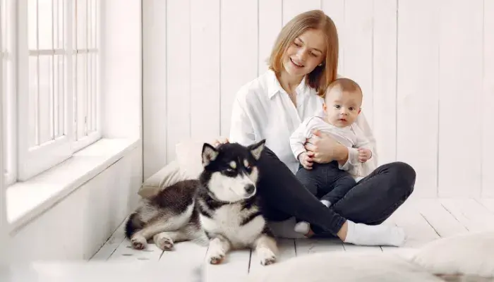 Animais E Crianças: Dicas Para Transição Suava Com O Bebê