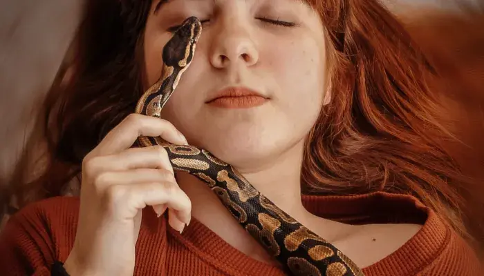 criando uma cobra de estimacao destaque