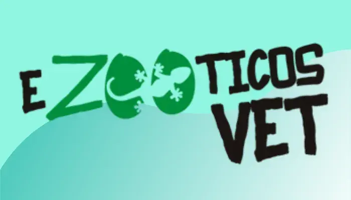 Fazendo a Diferença: A História Inspiradora da Clínica Ezooticos Vet