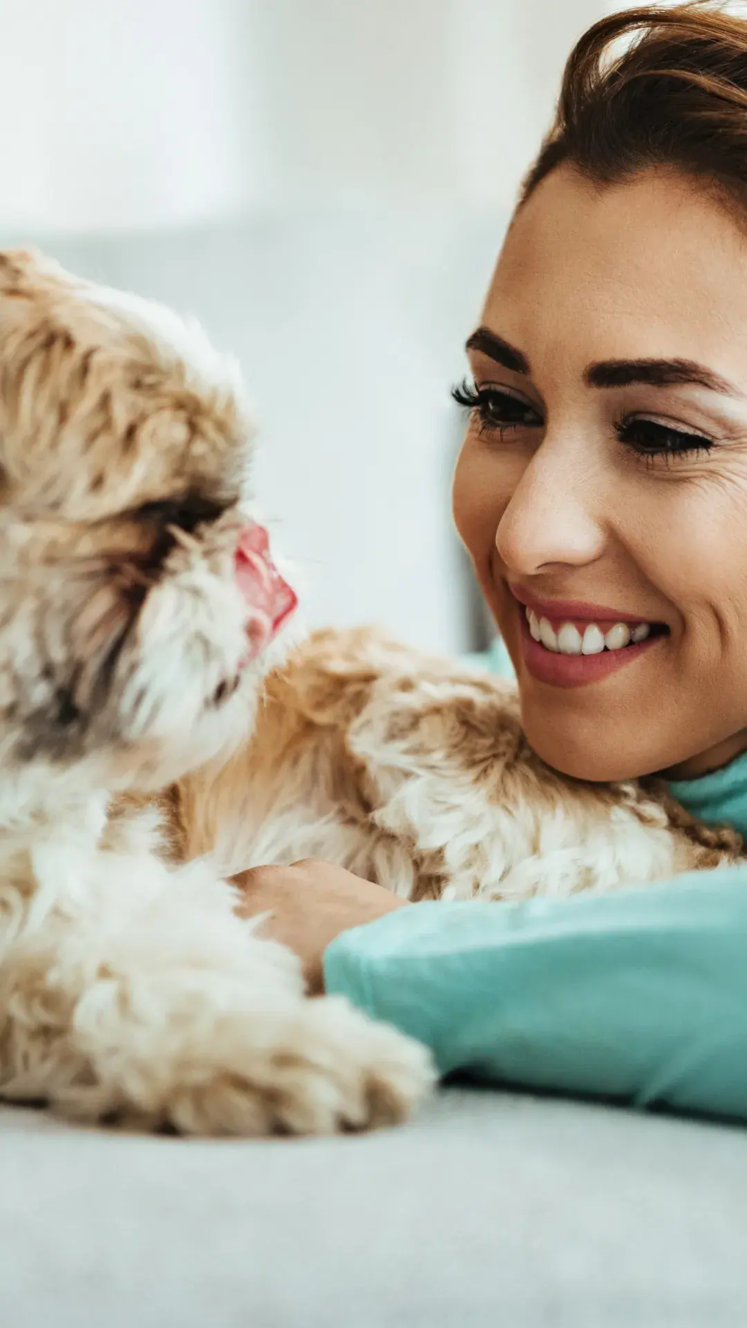 1 cachorros de apartamento