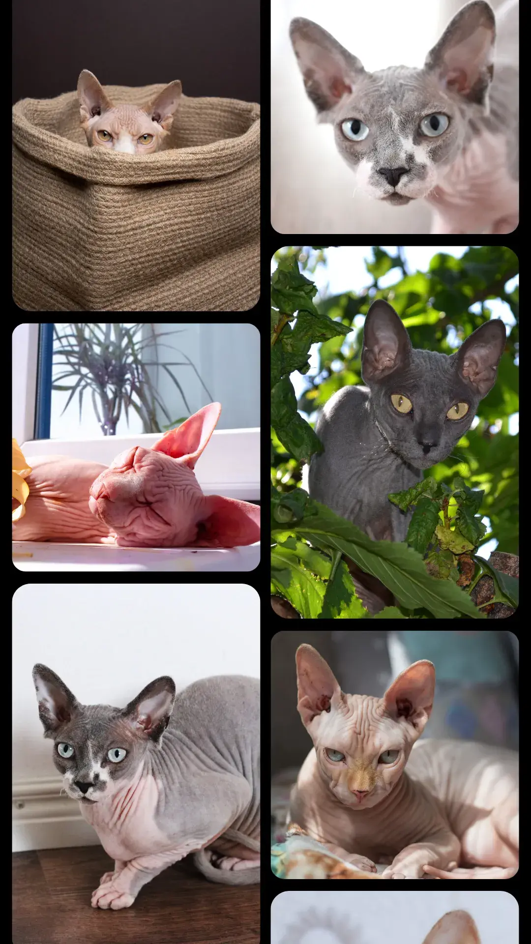 1 7