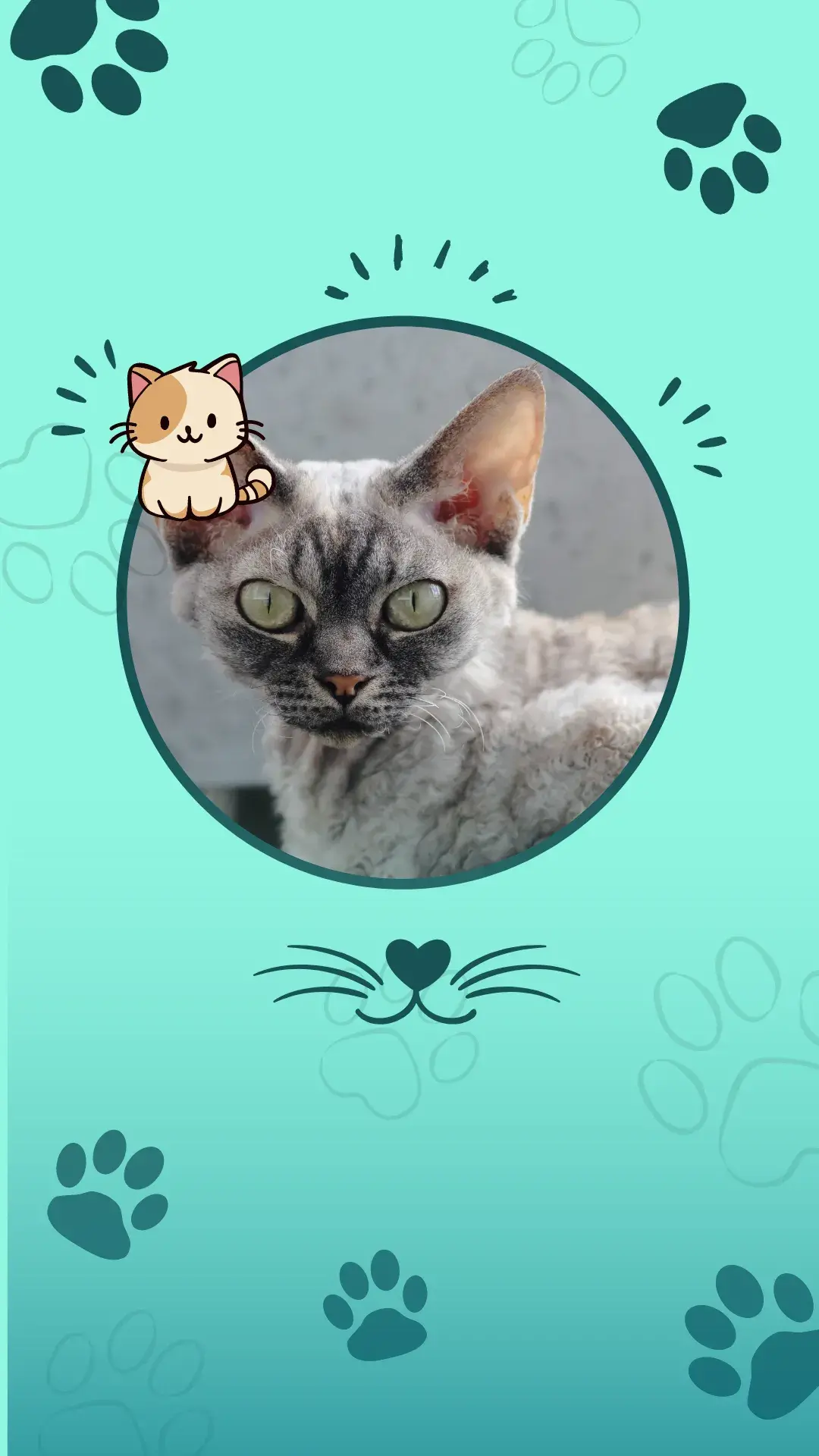 1 8