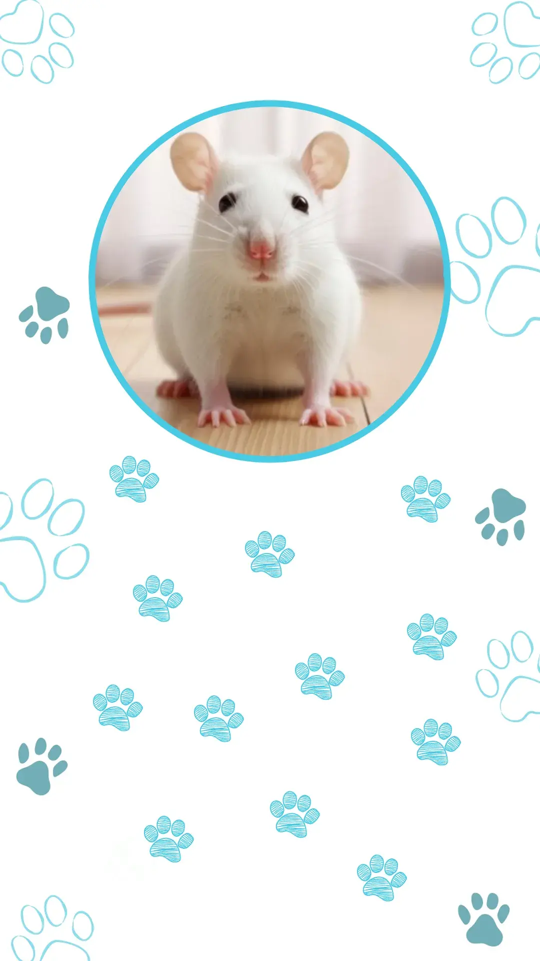 1animais