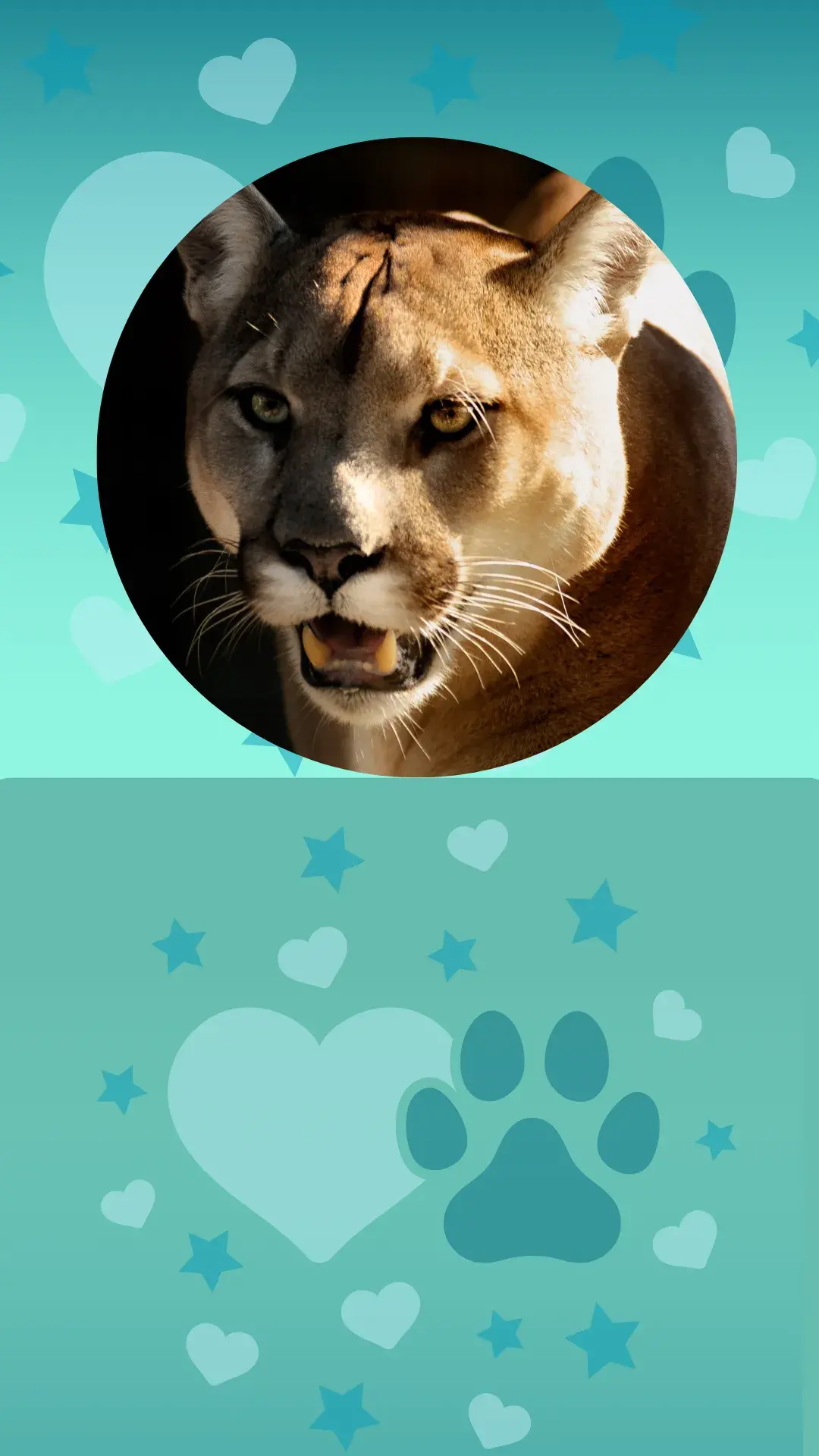 Puma: Da Selva às Montanhas, um Campeão da Sobrevivência