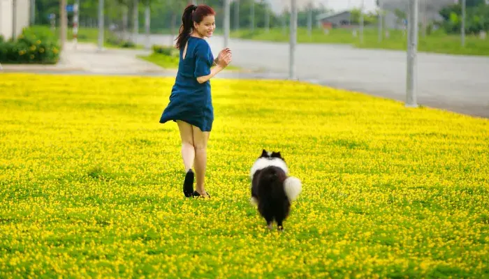 A importancia dos exercicios fisicos para caes