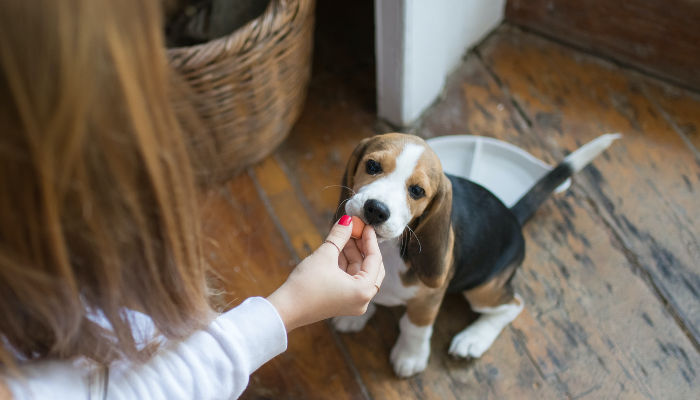 Foto de destaque 700X400