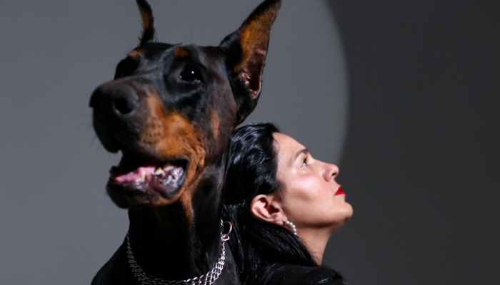 Os 10 Cães de Guarda Mais Ferozes e Fiéis que Você Precisa Conhecer 1 Os 10 cães de guarda mais ferozes e fiéis que você precisa conhecer