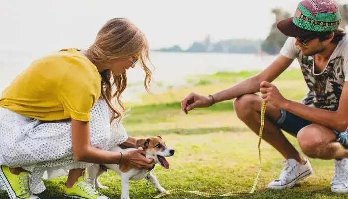 Dicas infalíveis para acabar com o problema de puxar a guia do cachorro