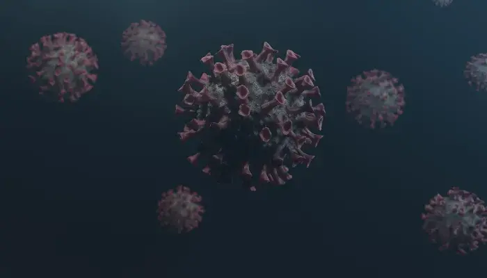 Doenças mais frequentes em cães e gatos