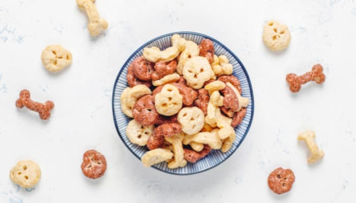 Alimentação e Exercícios para Combater a Obesidade em Pets